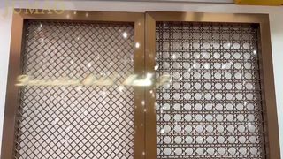 মেটাল ডেকোরেটিভ মেশের আসল শুটিং ভিডিও